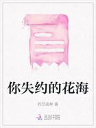 你失约的花海在线阅读