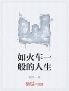 如火车一般的人生在线阅读