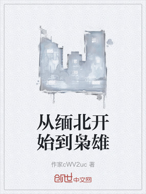 从缅北开始到枭雄在线阅读