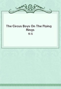 The Circus Boys On The Flying Rings