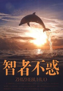 智者不惑