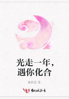 光走一年，遇你化合在線閱讀