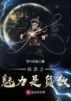網游之魅力是負數在線閱讀