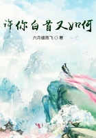 許你白首又如何在線閱讀