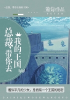 總裁，帶你去我的王國在線閱讀