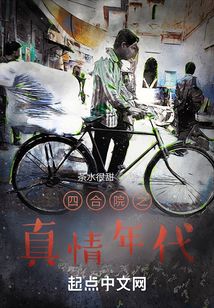 四合院之真情年代