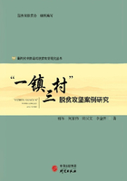 “一鎮(zhèn)三村”脫貧攻堅(jiān)案例研究在線閱讀
