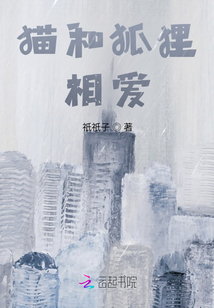 貓和狐貍相愛