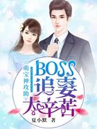 萌宝神攻助： BOSS追妻太辛苦