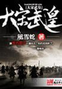 大宋武皇