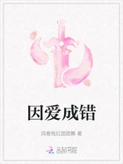 因爱成错在线阅读