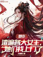 梦中渣遍各大女主,她们找上门了