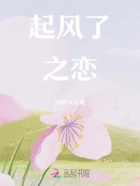 起风了之恋在线阅读