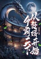 争霸天下,从赘婿开始在线阅读