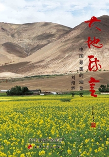 大地流金：中國最美的油菜花