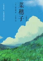 菜穗子(插图版)在线阅读