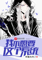 我不想要这个系统在线阅读
