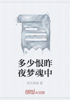 多少恨昨夜梦魂中在线阅读