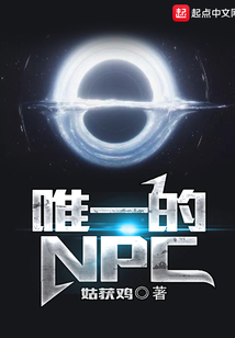 唯一的NPC