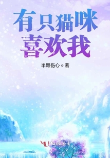 有只貓咪喜歡我