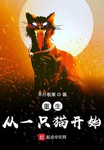 重生從一只貓開始