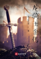 龙骑士歪传