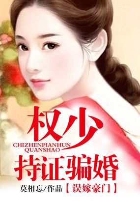 盛先生持证上岗在线阅读