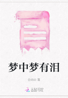 梦中梦有泪