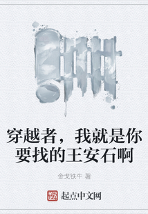 穿越者，我就是你要找的王安石啊