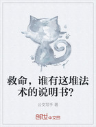 救命，谁有这堆法术的说明书？在线阅读