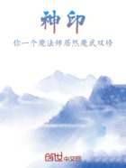 神印:你一个魔法师居然魔武双修在线阅读