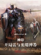 神印：雷与光之神眷在线阅读