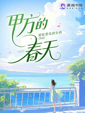 甲方的春天在线阅读