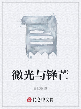 微光与锋芒在线阅读