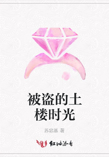 被盜的土樓時光