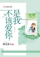 是我不該愛你在線閱讀