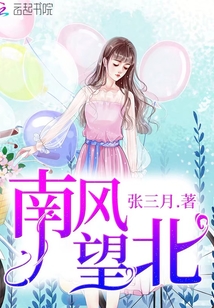 南風望北