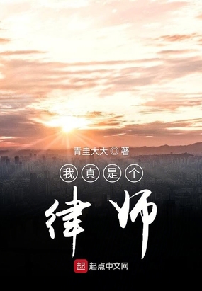 我真是个律师在线阅读