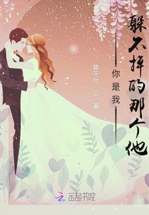 夏時星辰尚未晚