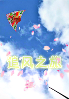 追风之旅在线阅读