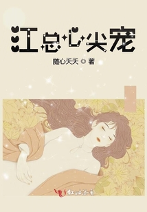 江總心尖寵