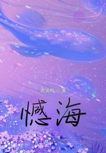憾海