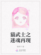 猫武士之迷魂再现在线阅读