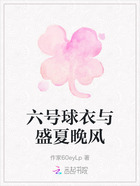 六号球衣与盛夏晚风在线阅读