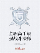 全职高手最强战斗法师在线阅读