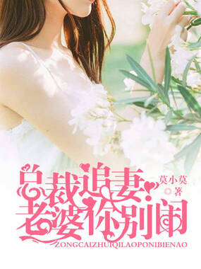 总裁追妻:老婆你别闹在线阅读