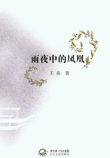 雨夜中的鳳凰