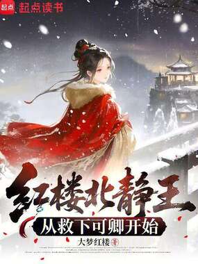 红楼北静王，从救下可卿开始在线阅读