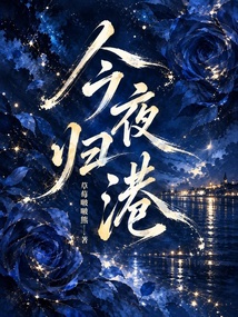 今夜归港 封面