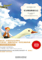 尼尔斯骑鹅旅行记在线阅读